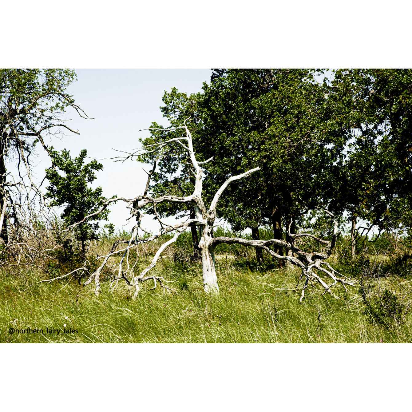 Medveditskaya Ridge: Journey into the Anomalous Zone