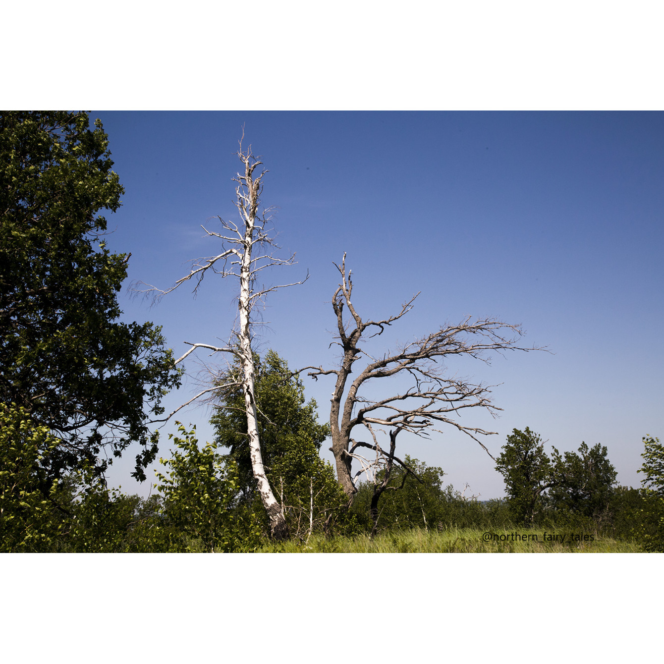 Medveditskaya Ridge: Journey into the Anomalous Zone