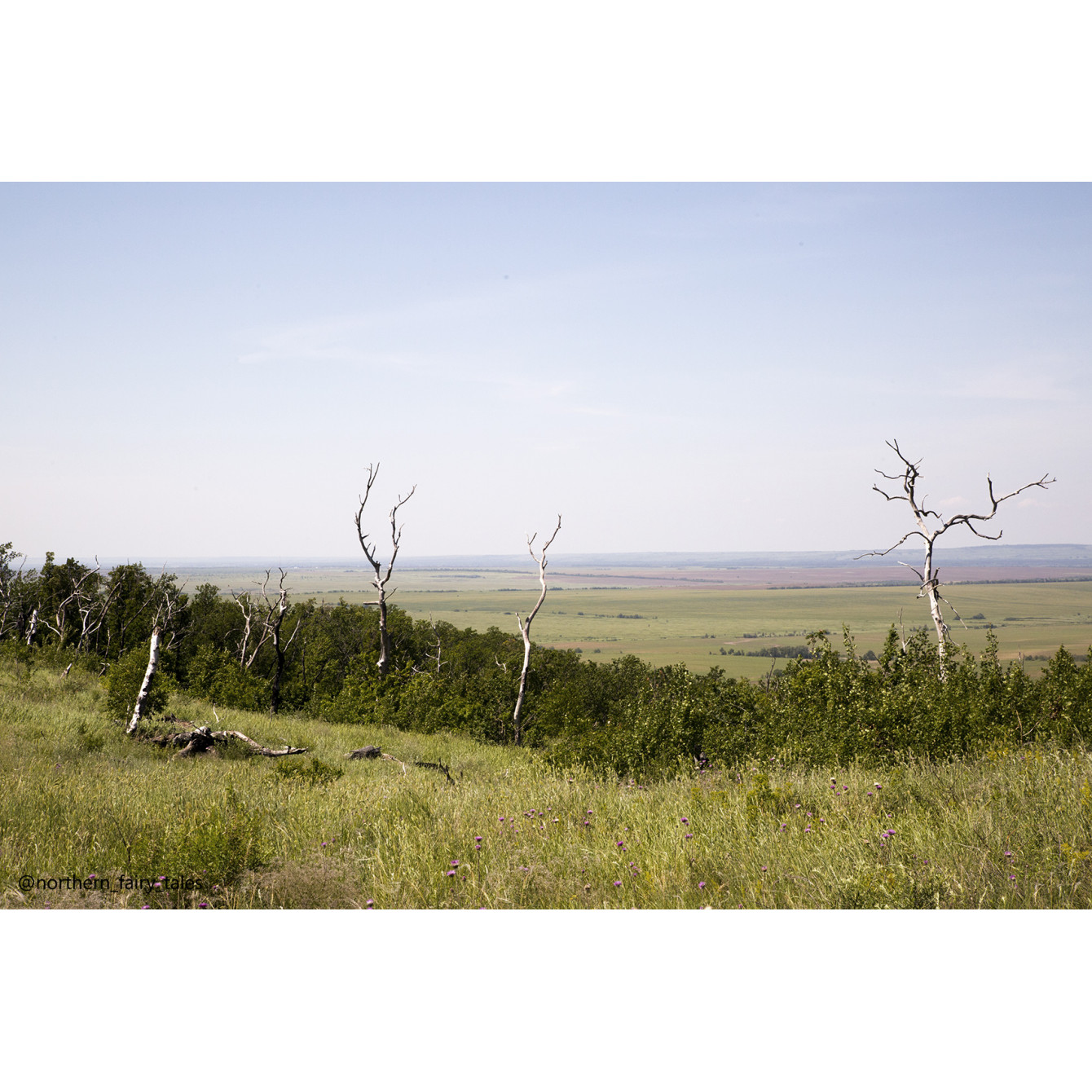 Medveditskaya Ridge: Journey into the Anomalous Zone