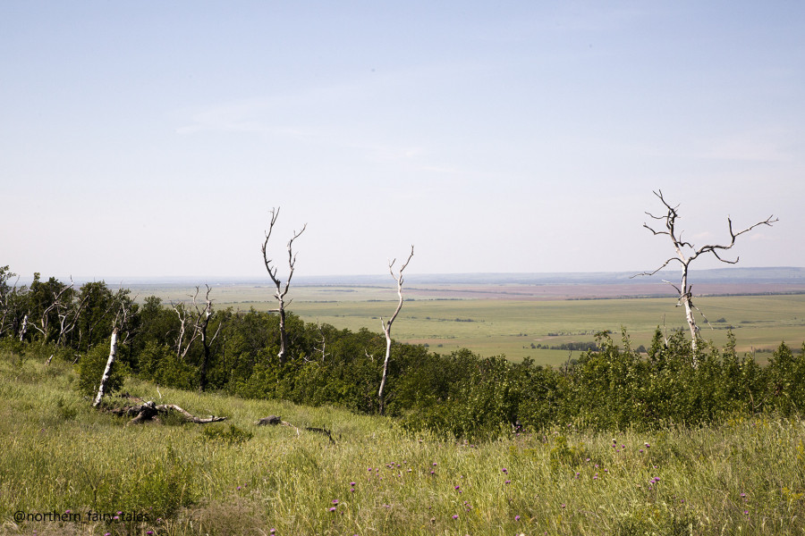 Medveditskaya Ridge: Journey into the Anomalous Zone