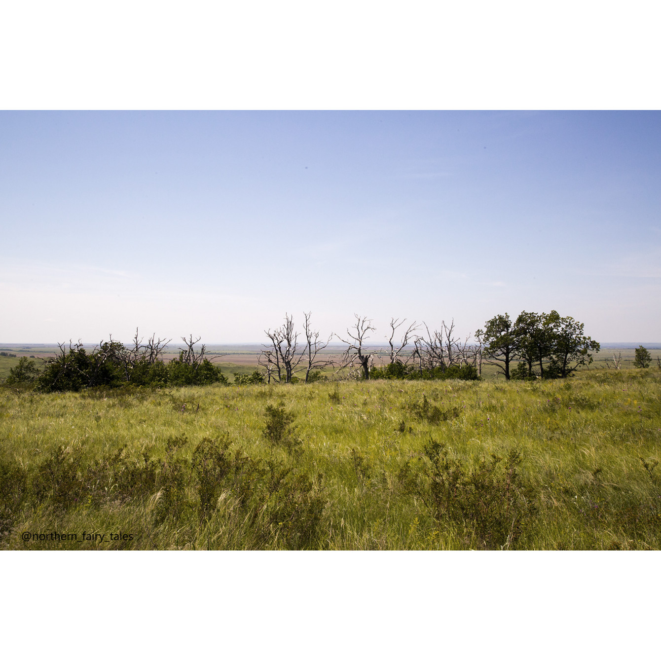 Medveditskaya Ridge: Journey into the Anomalous Zone