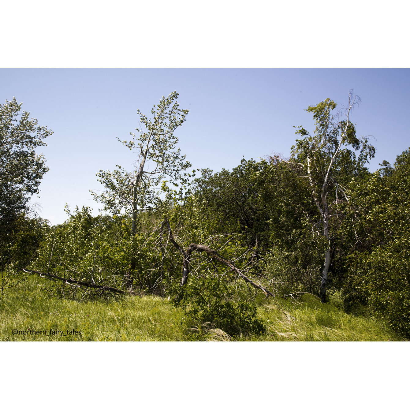 Medveditskaya Ridge: Journey into the Anomalous Zone