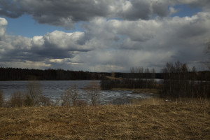 Дорога в Думино