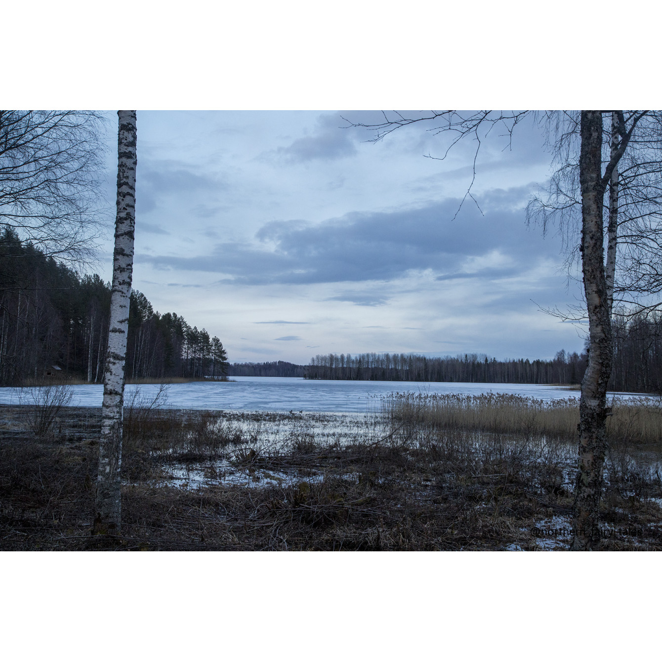 Дорога в Думино