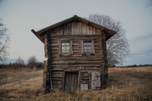 Деревня Думино