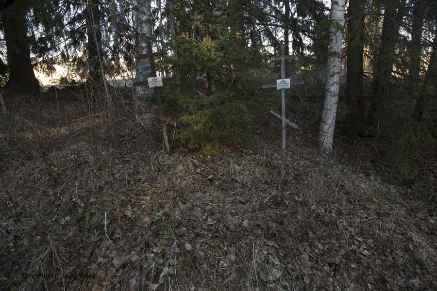 Dumino Sacred Grove: A Cemetery Shrine of the Russian North