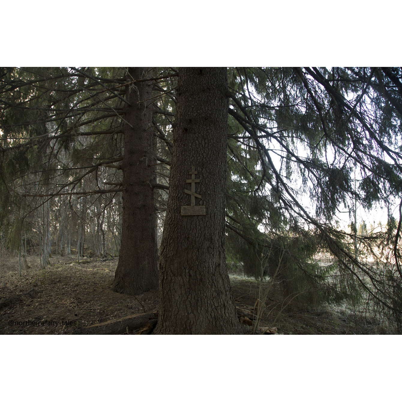Dumino Sacred Grove: A Cemetery Shrine of the Russian North