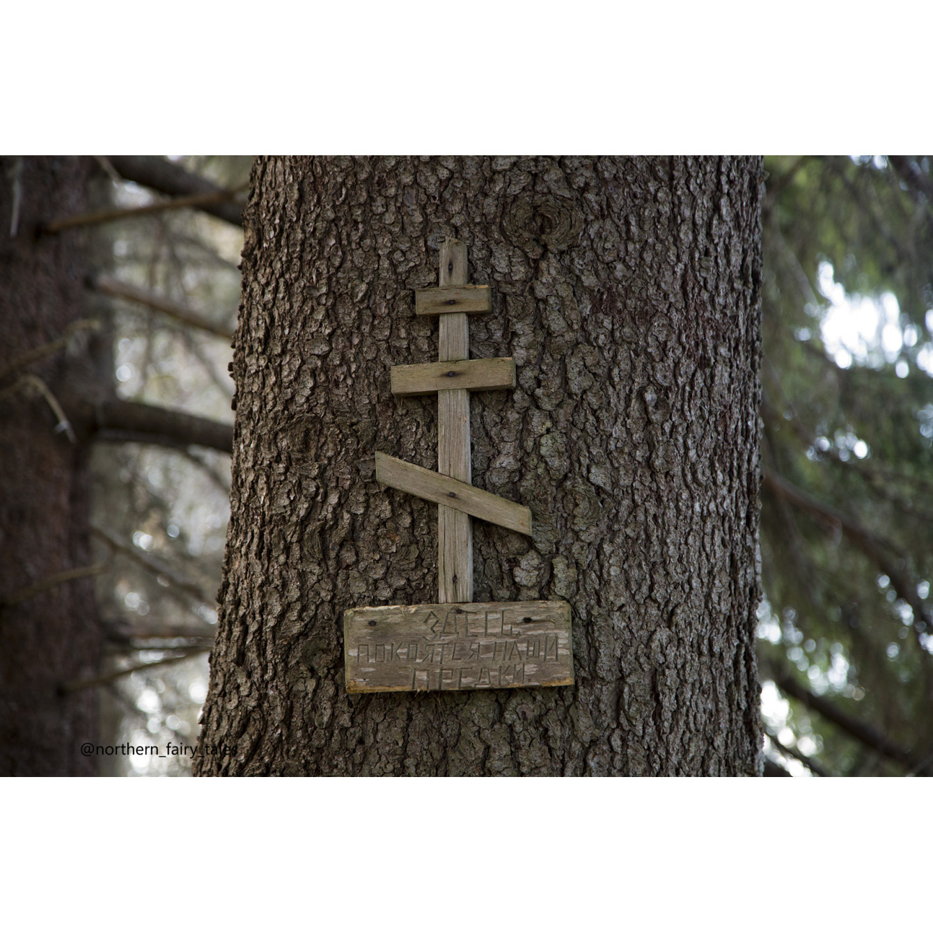 Dumino Sacred Grove: A Cemetery Shrine of the Russian North