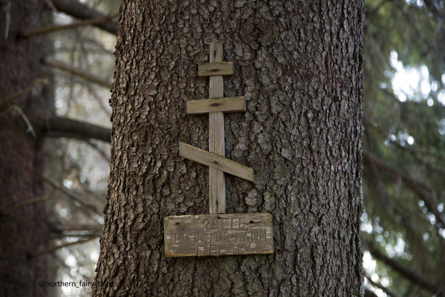 Dumino Sacred Grove: A Cemetery Shrine of the Russian North