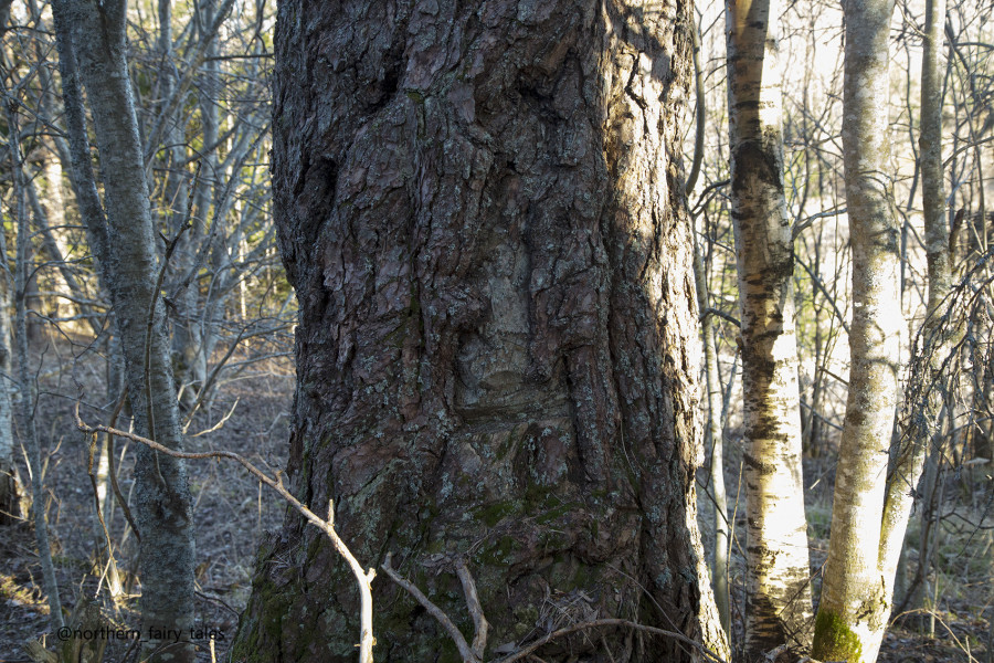 Dumino Sacred Grove: A Cemetery Shrine of the Russian North