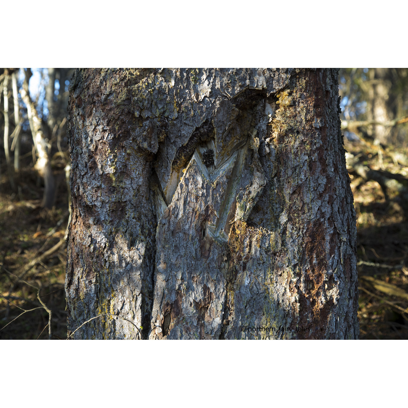 Dumino Sacred Grove: A Cemetery Shrine of the Russian North