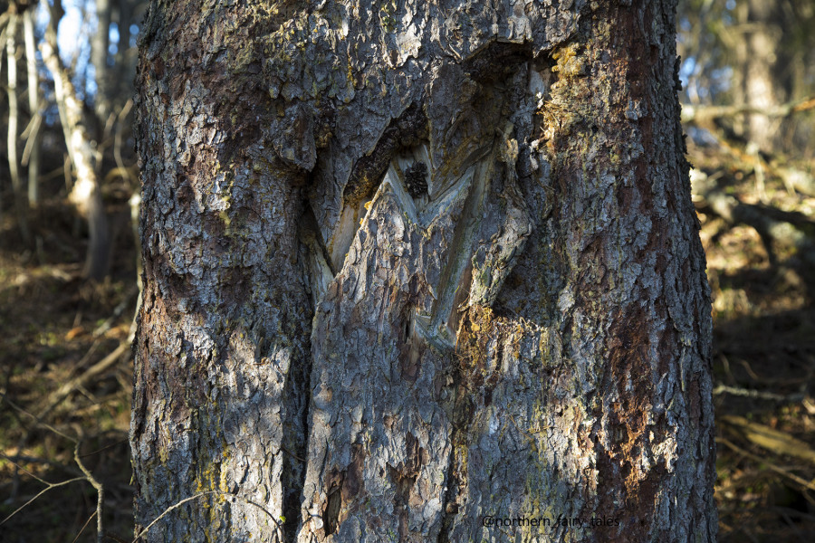 Dumino Sacred Grove: A Cemetery Shrine of the Russian North