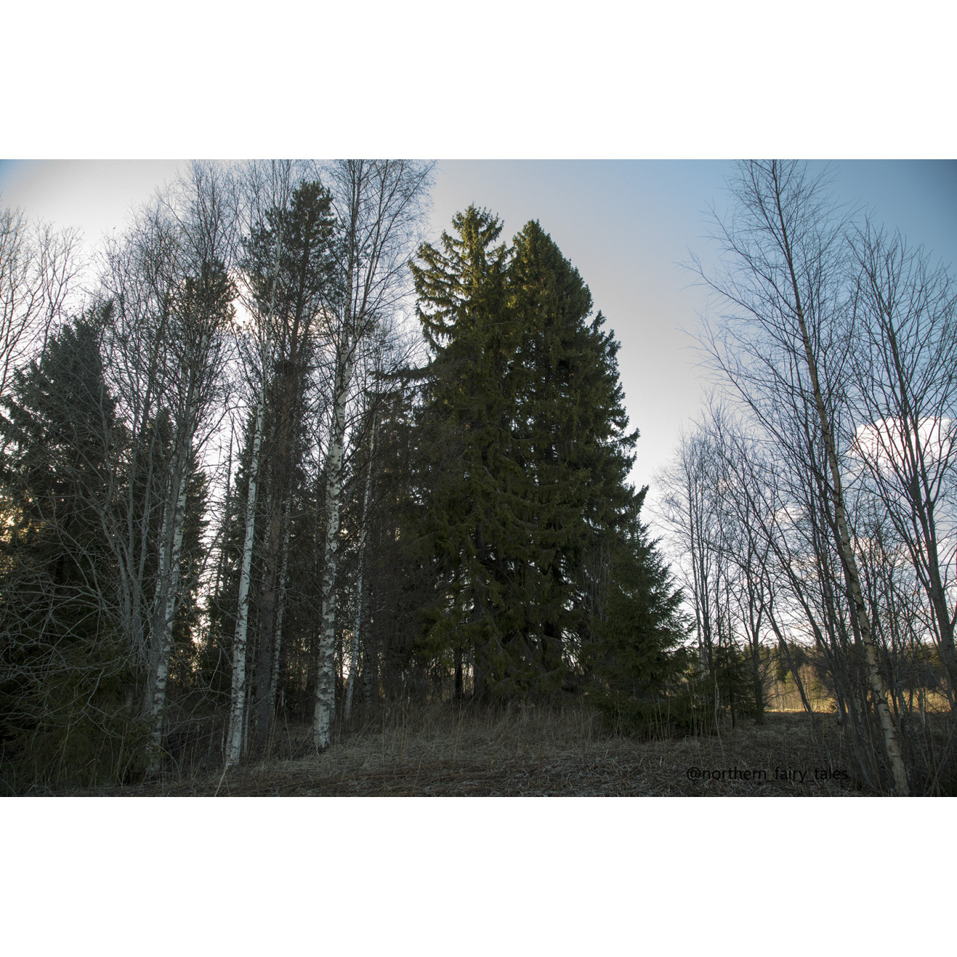 Dumino Sacred Grove: A Cemetery Shrine of the Russian North