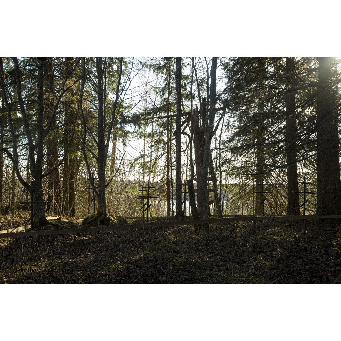 Dumino Sacred Grove: A Cemetery Shrine of the Russian North
