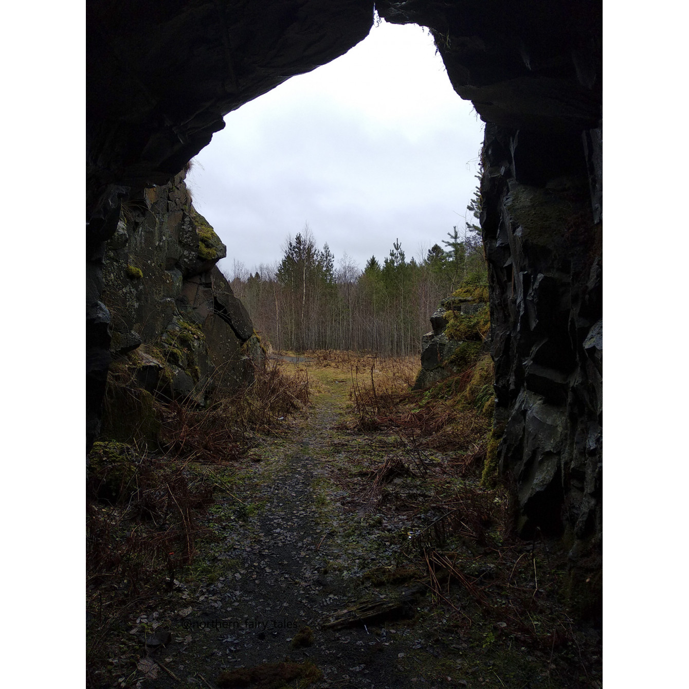 Veps Castle