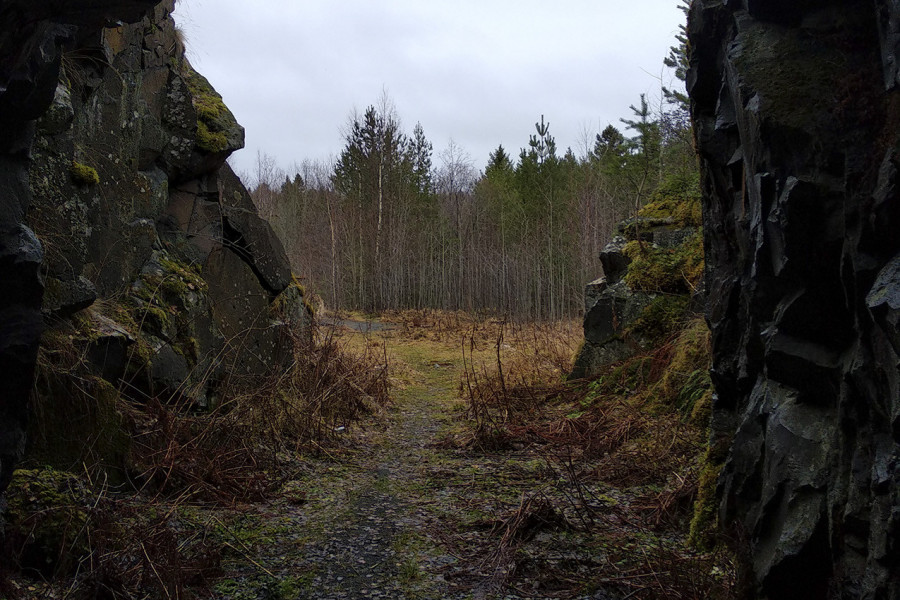 Veps Castle