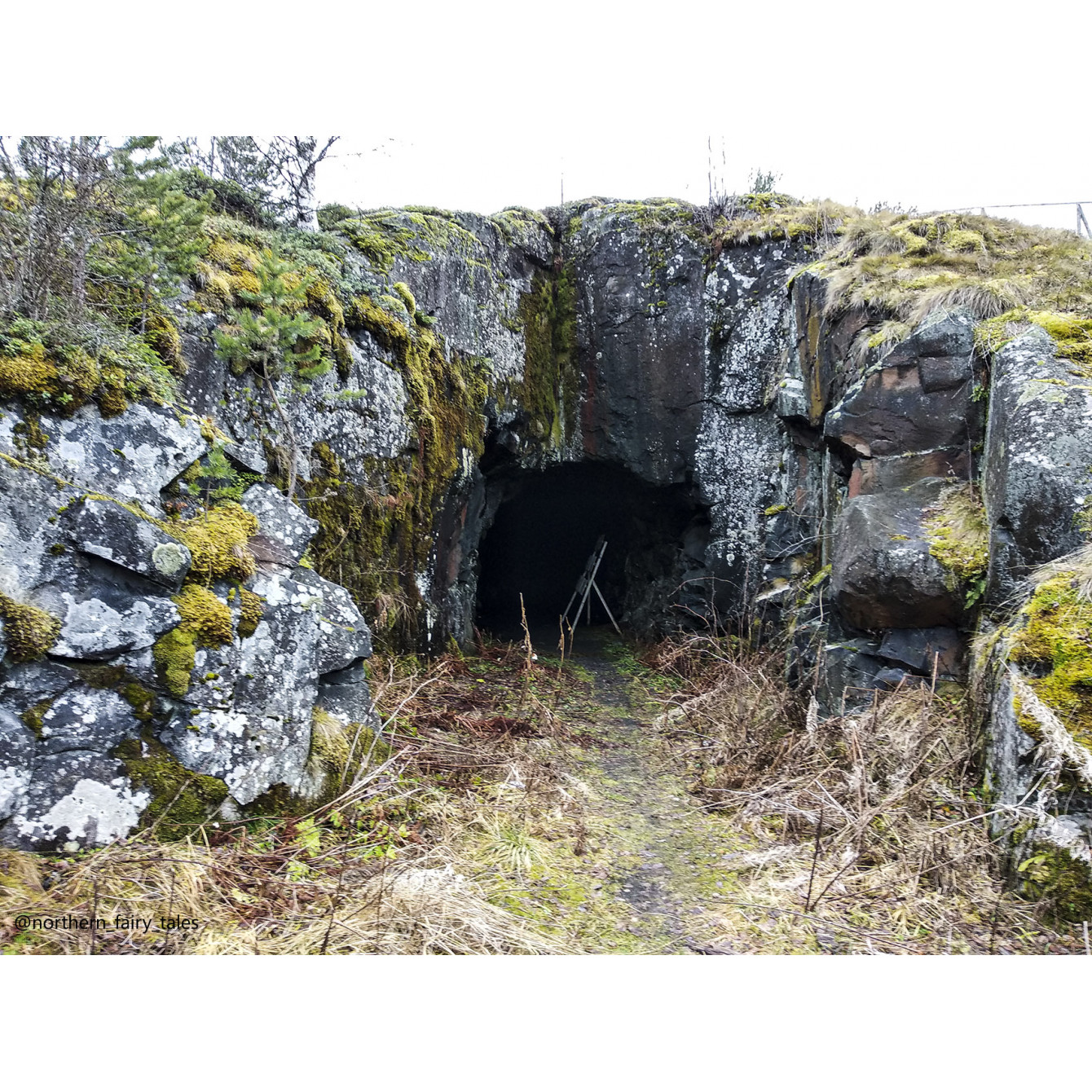 Veps Castle