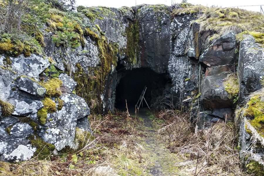 Veps Castle