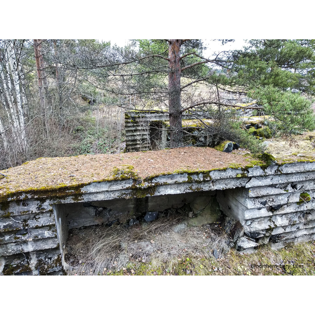 Veps Castle