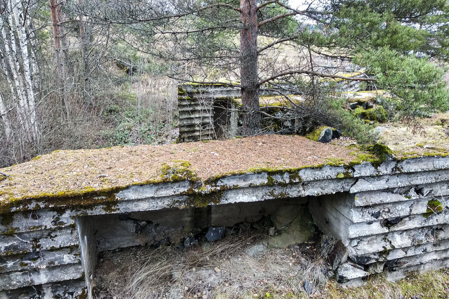 Veps Castle