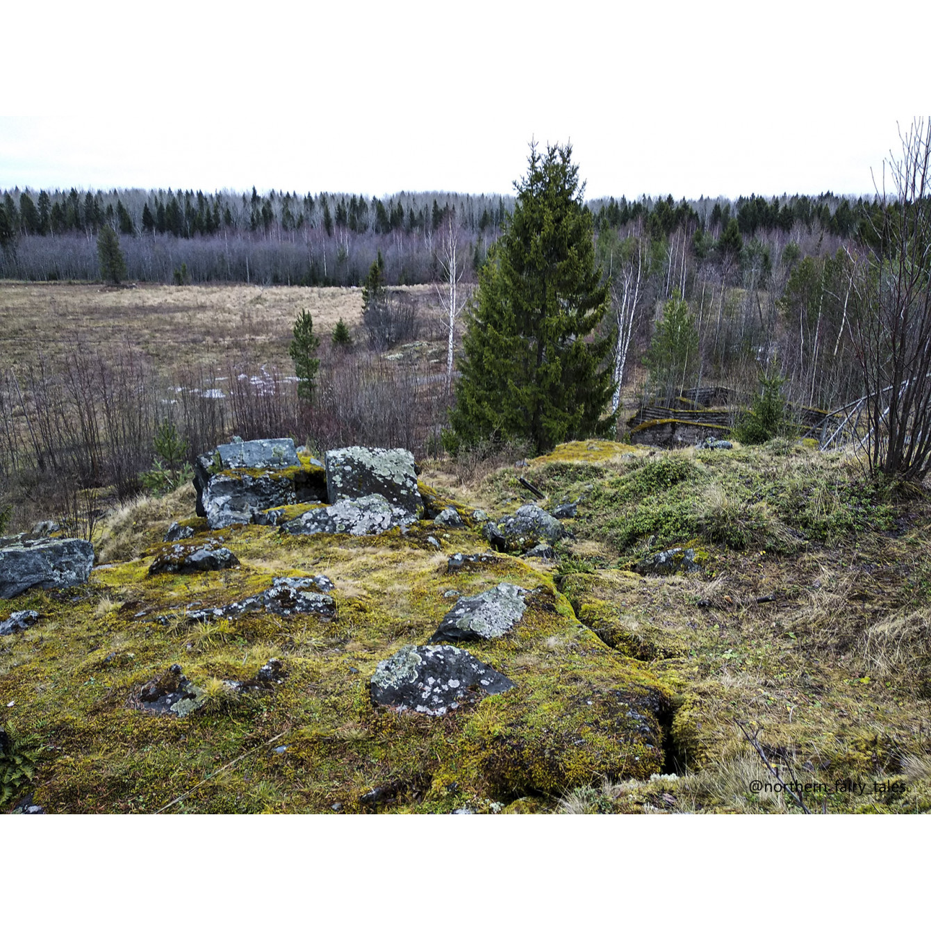 Veps Castle
