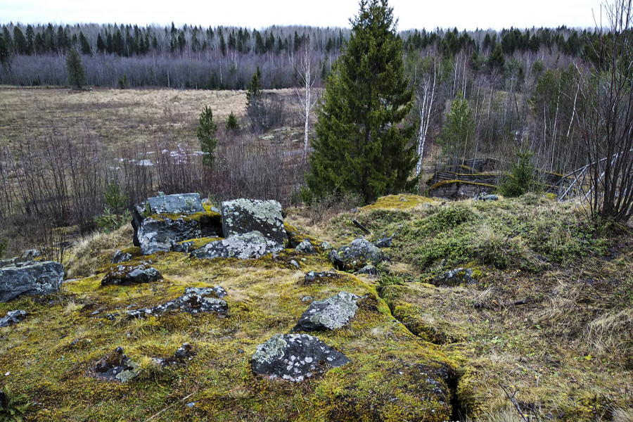 Veps Castle