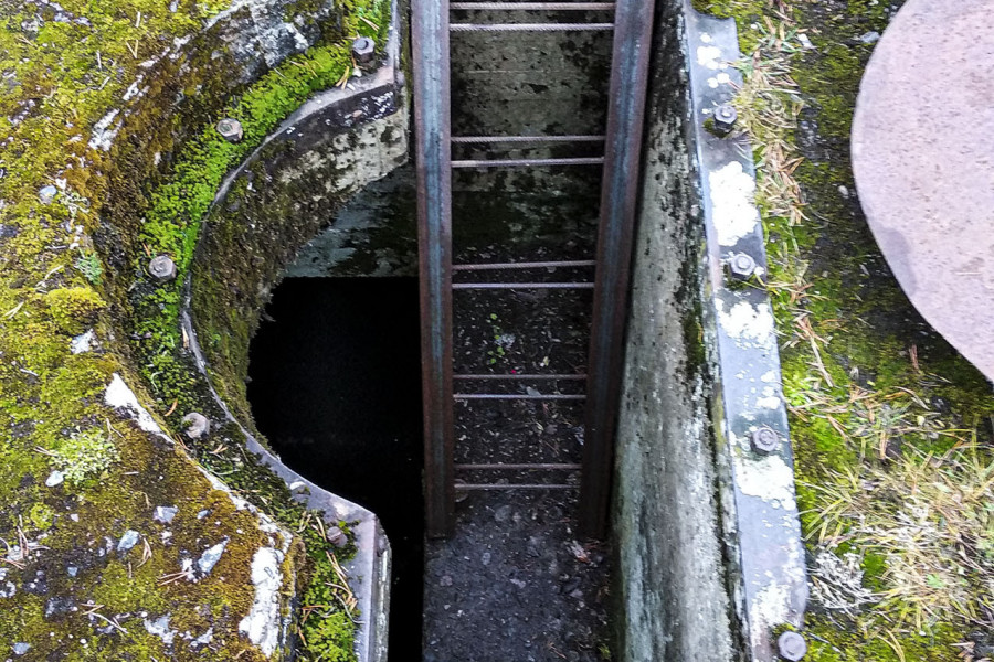 Veps Castle
