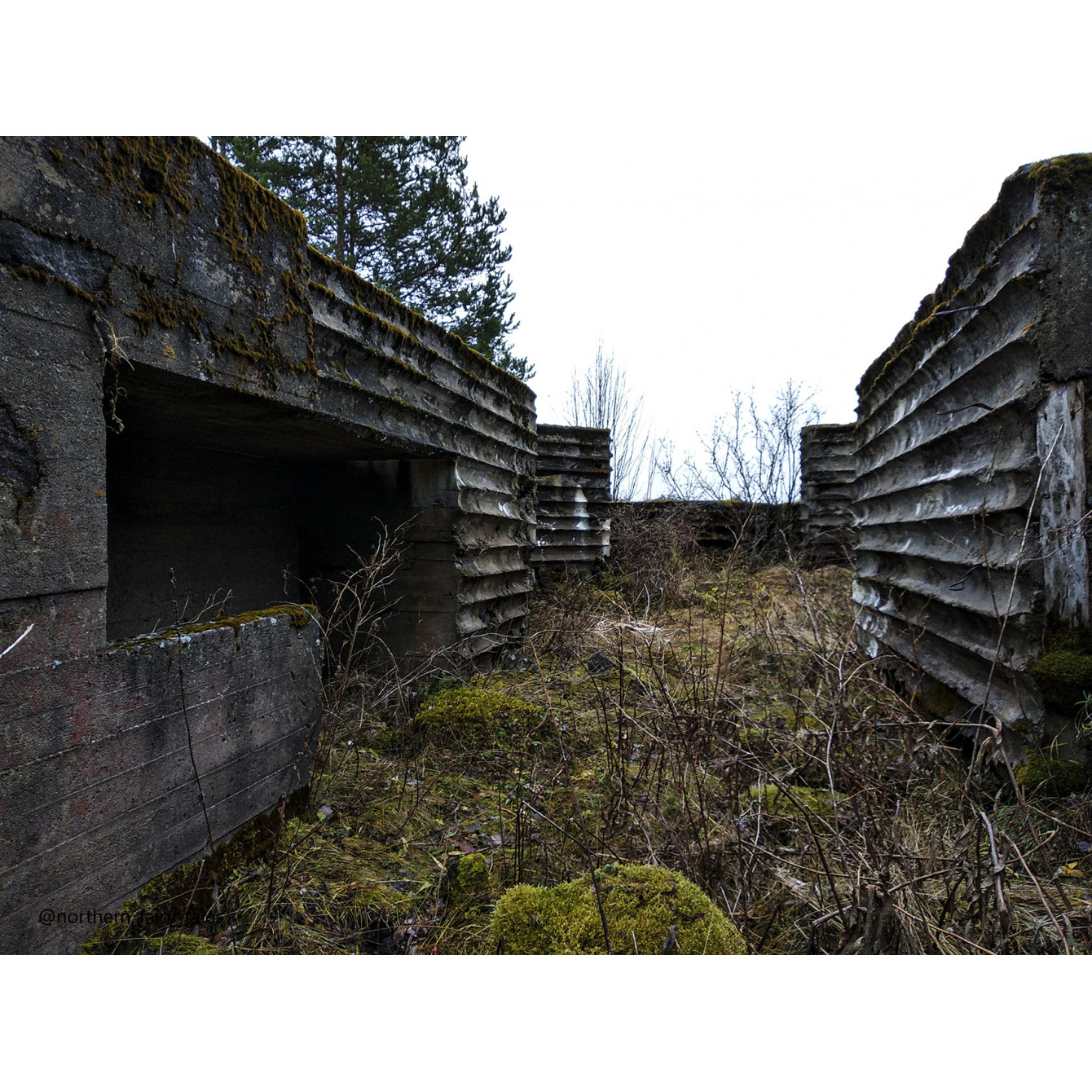 Veps Castle