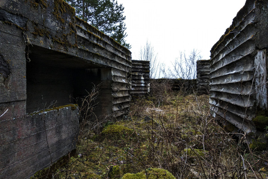 Veps Castle