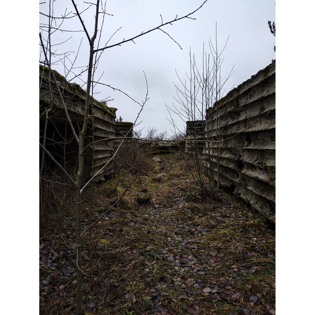 Veps Castle