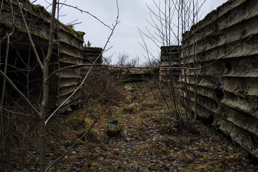 Veps Castle