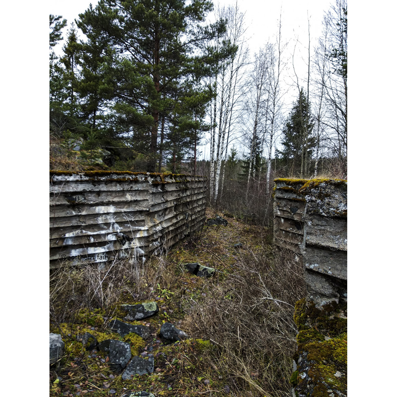 Veps Castle