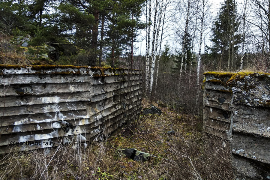 Veps Castle