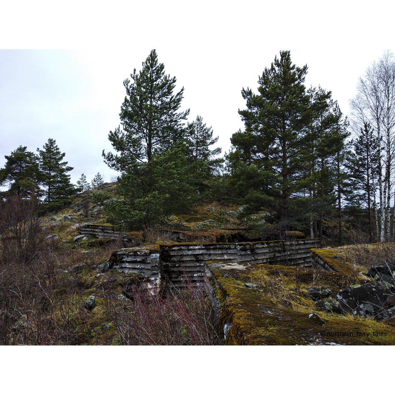 Veps Castle
