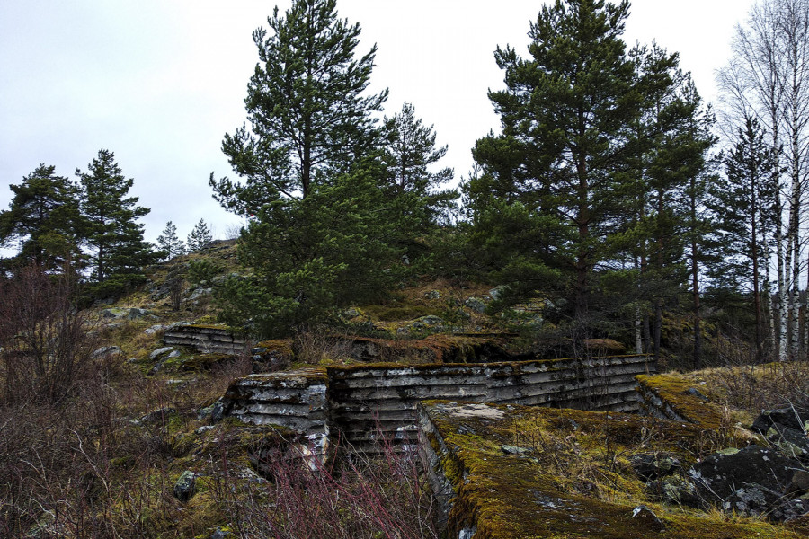 Veps Castle