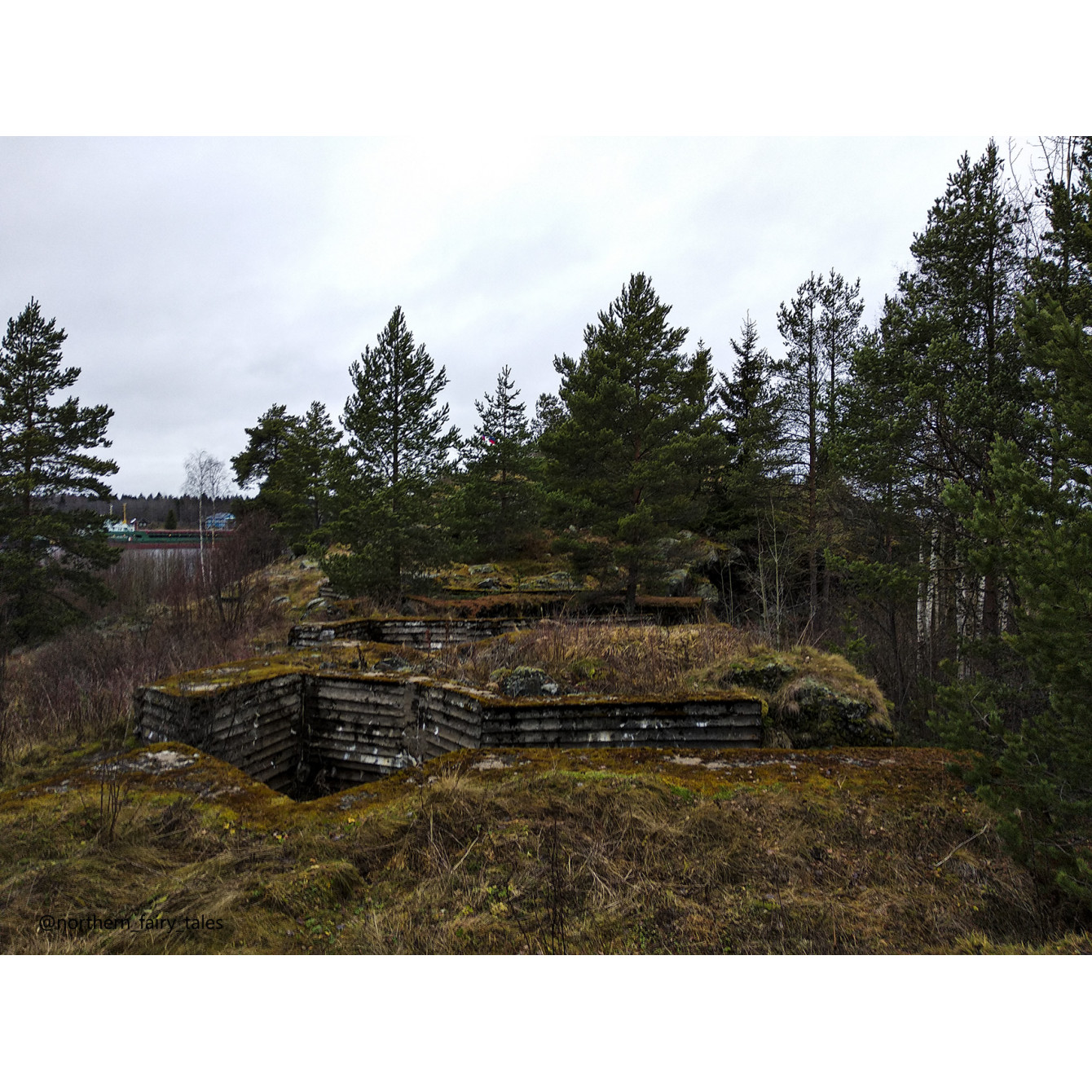 Veps Castle