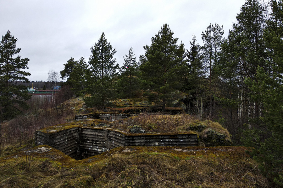 Veps Castle