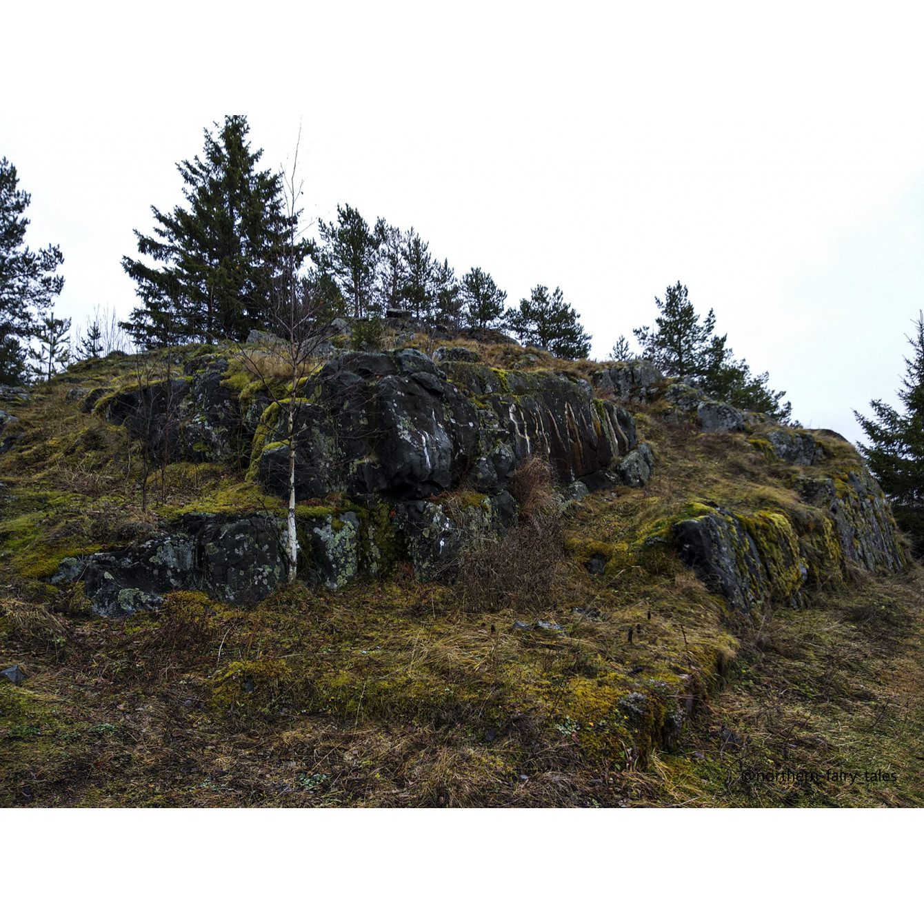 Veps Castle