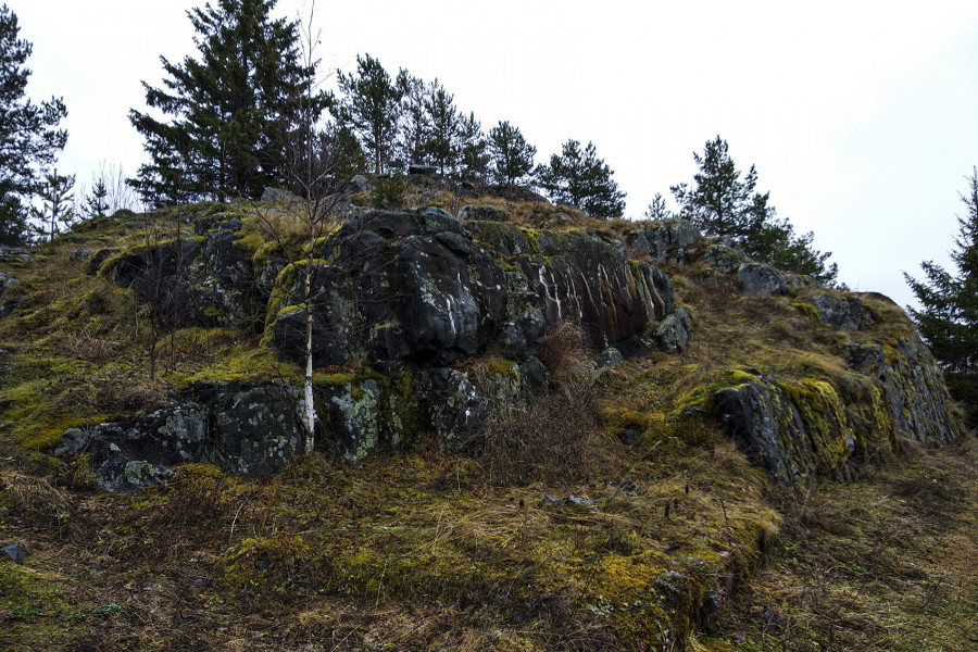 Veps Castle