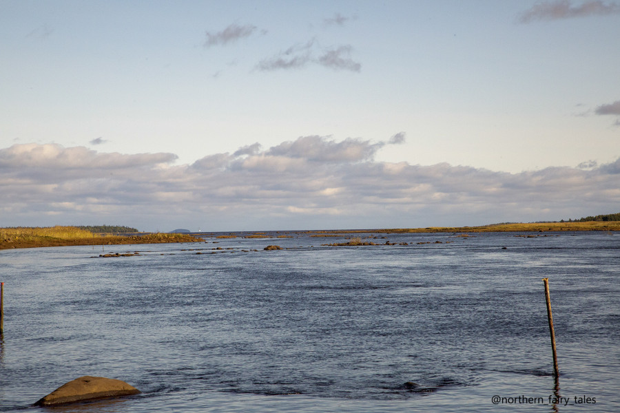 The Holy Wonderworkers of the Pomor Coast: Ioann and Loggin of Yarenga