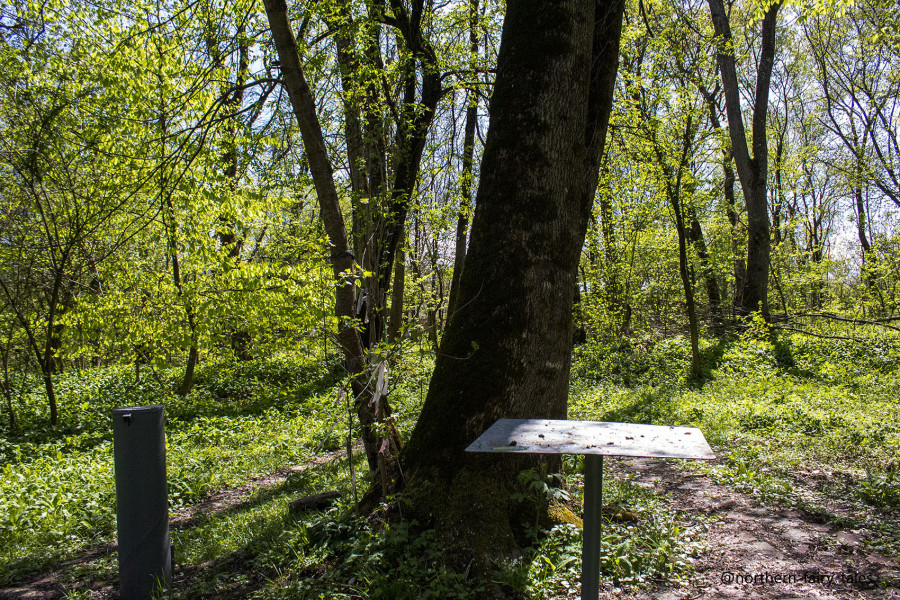 The Grove of Khetag