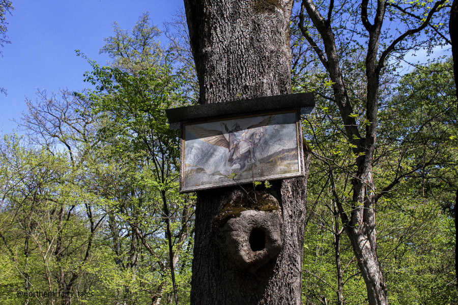 The Grove of Khetag
