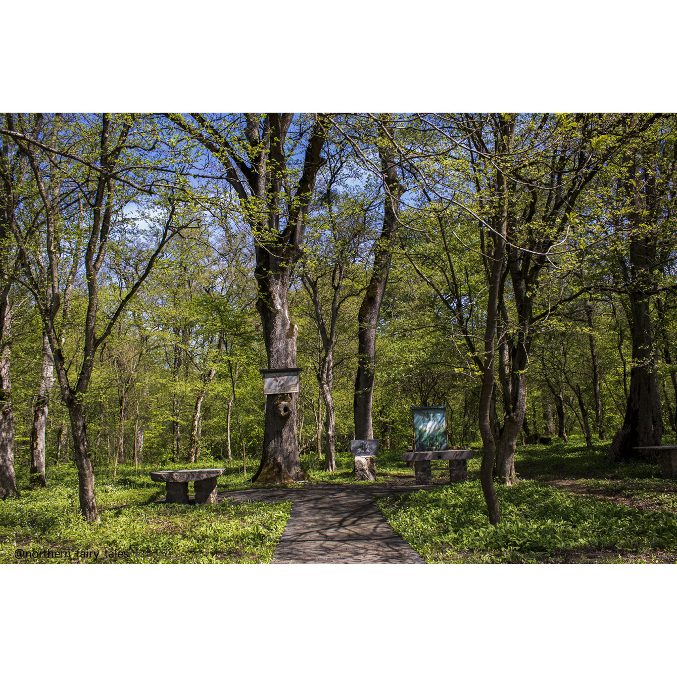 The Grove of Khetag
