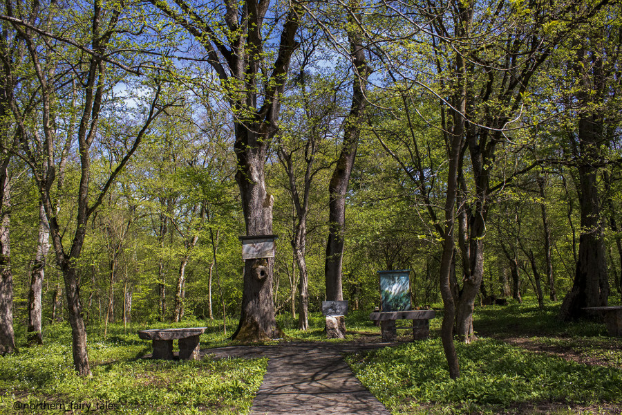 The Grove of Khetag