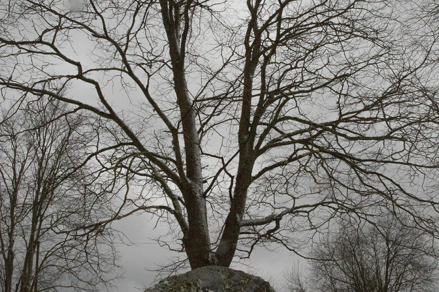 Funerary stones: The Threshold Between Worlds