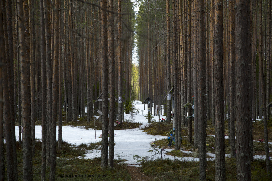 Sandarmokh: The Karelian Execution Ground