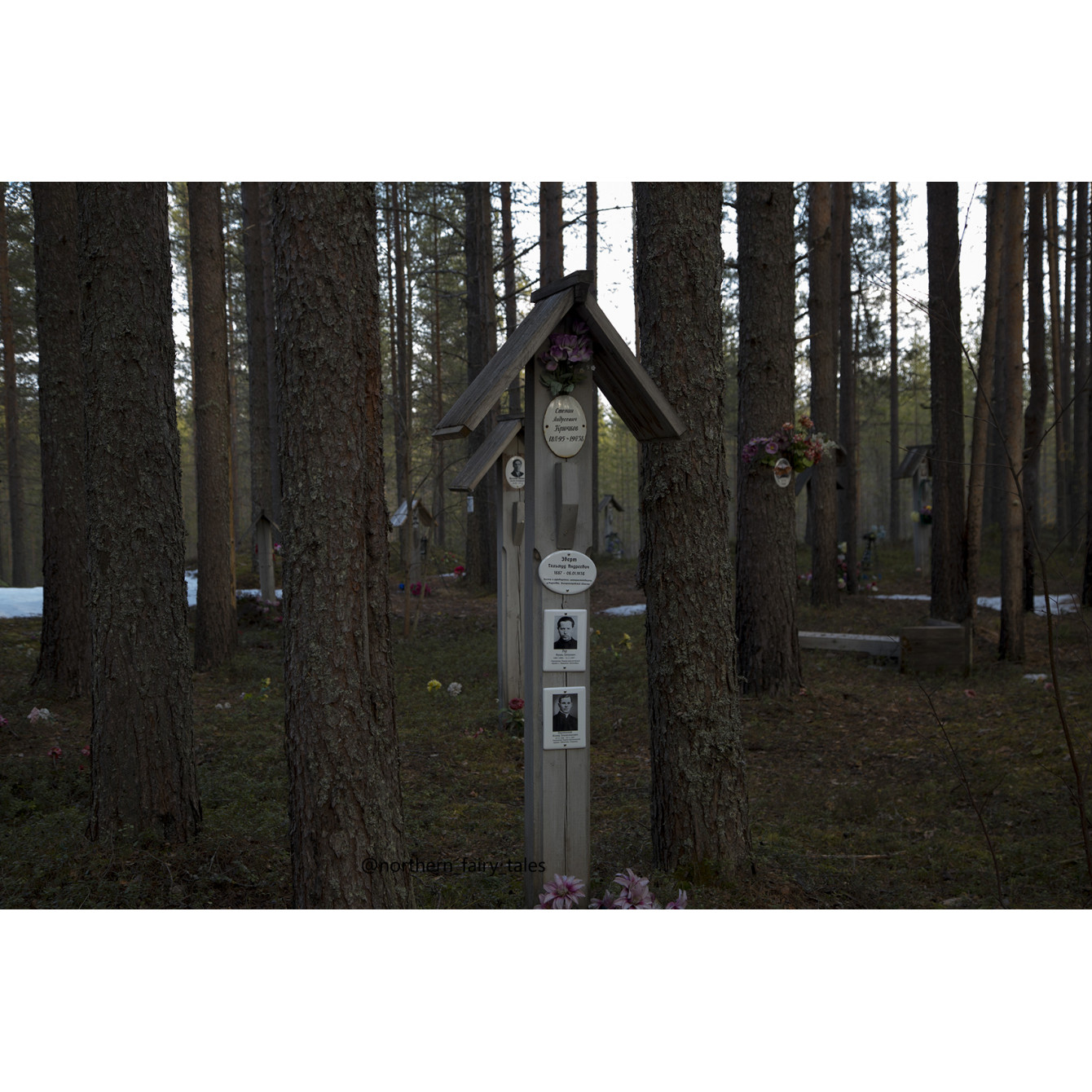 Sandarmokh: The Karelian Execution Ground