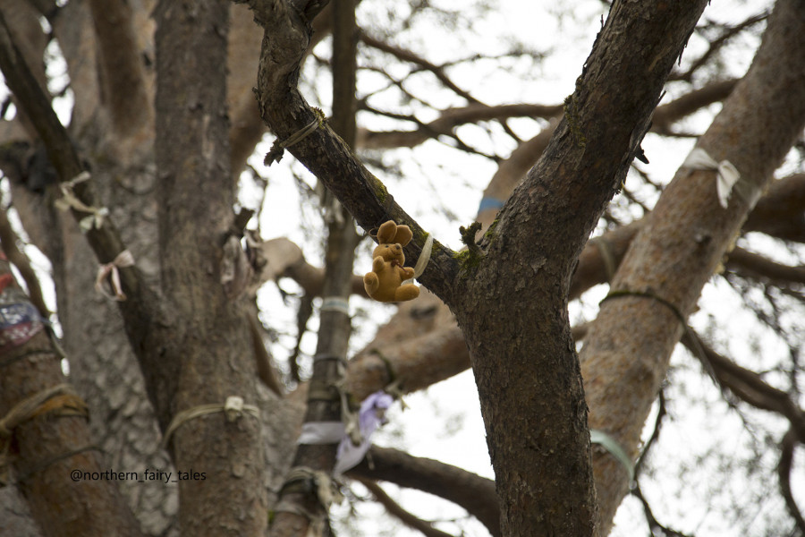 The Tree of Love