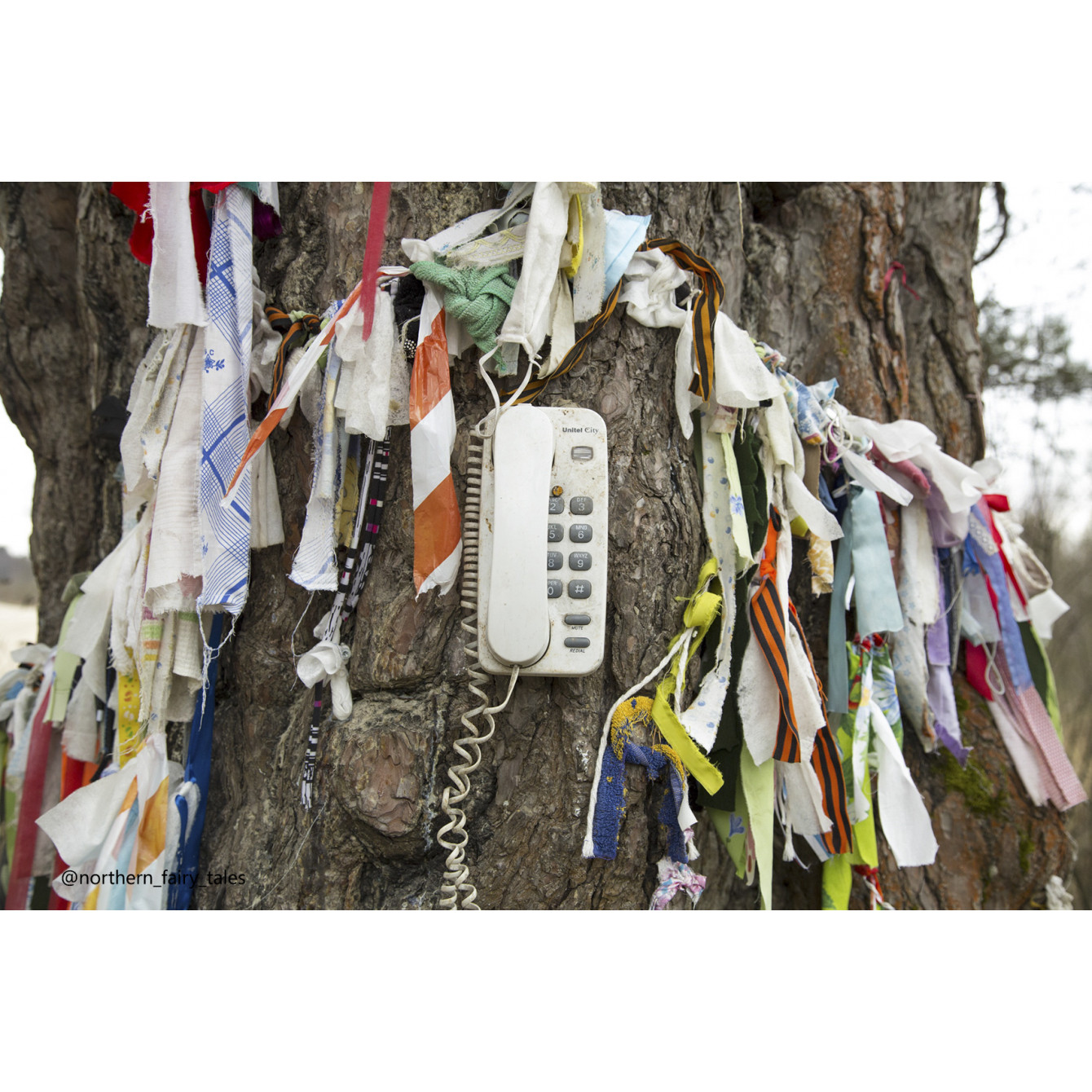 The Tree of Love