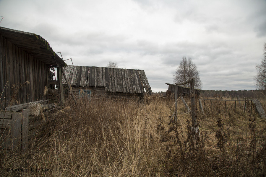 Дворовушка